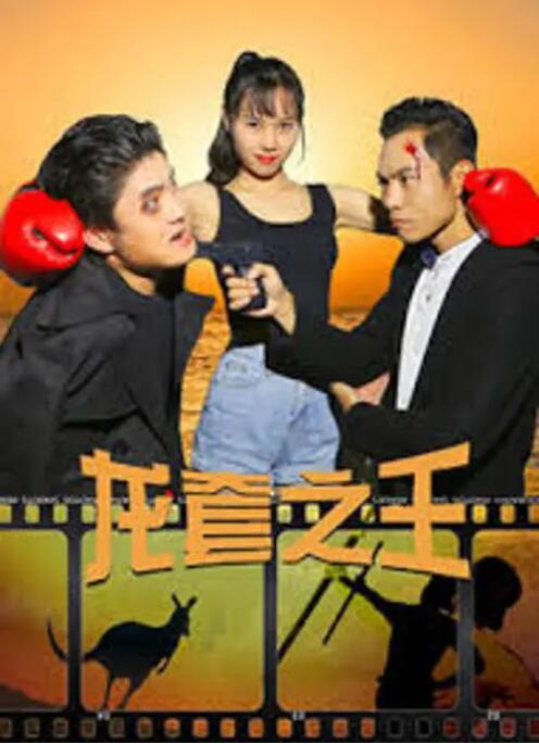张婉莹为什么拍那些
